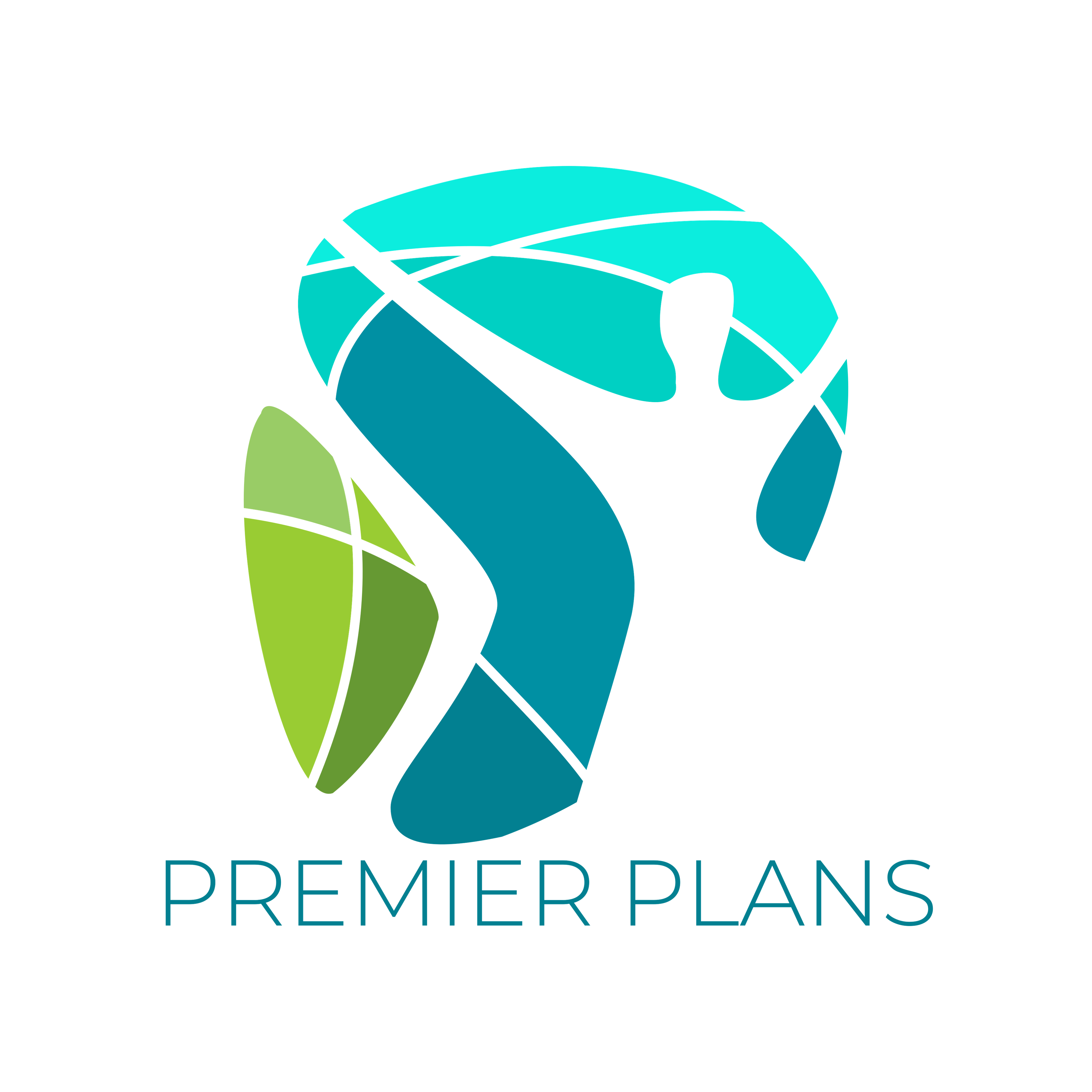 Premier Plan Welcome to Premier Plans!